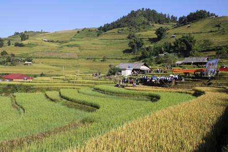 Những đôi tay khéo trên ruộng bậc thang Mù Cang Chải - 1 Những đôi tay khéo trên ruộng bậc thang Mù Cang Chải