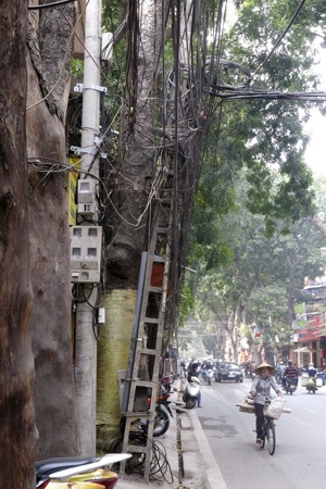 Ngả nghiêng trên phố Ngọc Khánh.