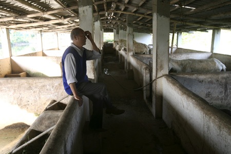 Người chủ trang trại nuôi ngựa bạch, ông Hoàng Triều.