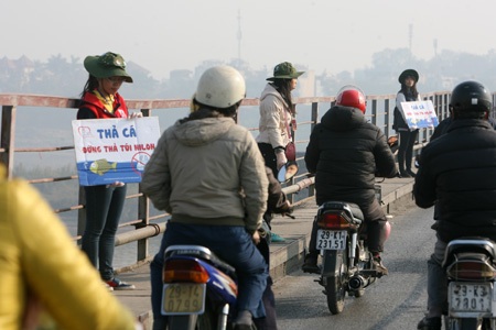 Bắt đầu chia nhau đứng dọc suốt chiều dài cầu để xin rác.
