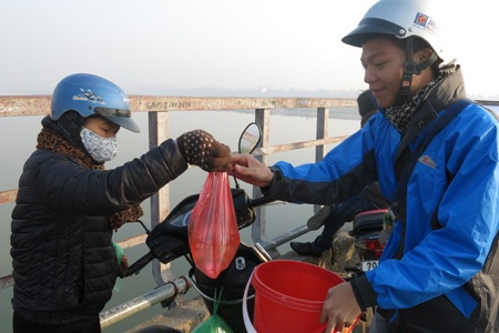 Và một biểu ngữ đơn giản dễ nhớ: Thả cá...xin đừng thả túi nilon.