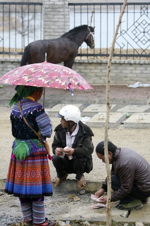 Một con ngựa lai lạ lẫm được cho là có nguồn gốc từ Trung Quốc, người dân dè dặt chỉ xem không mua.