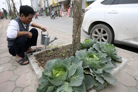 Nhà mặt phố đúng là lợi đủ đường.