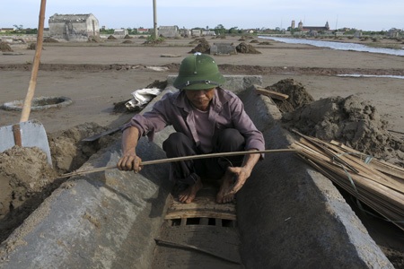 Đắng cay nghề muối!