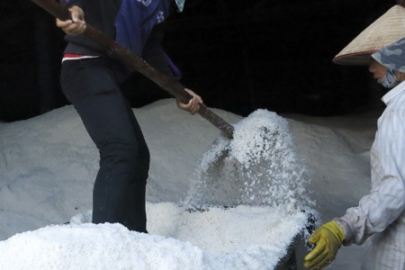 Đắng cay nghề muối!