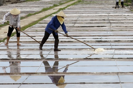 Đắng cay nghề muối!