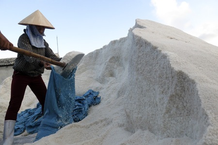 Đắng cay nghề muối!