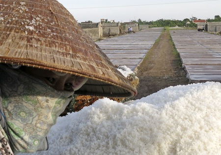 Đắng cay nghề muối!