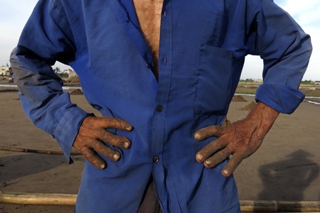 Đắng cay nghề muối!