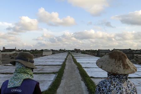 Đắng cay nghề muối!