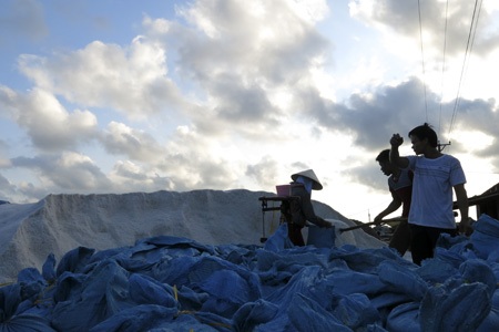 Đắng cay nghề muối!