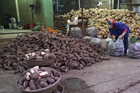 Chợ Giang - Đầu mối nông sản Trung Quốc - 2 Chợ Giang - Đầu mối nông sản Trung Quốc