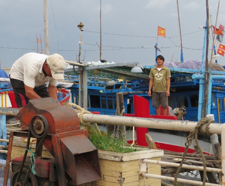 Ngư dân TP Tuy Hòa (Phú Yên) neo đậu tàu thuyền an toàn