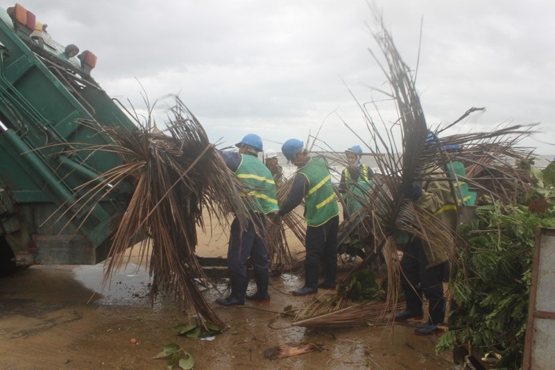 Nhơn viên môi trường thu dọn cây, cành lá đổ do bão số 4.