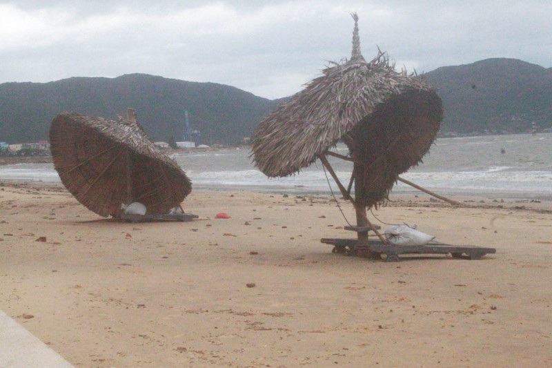 Tường tôn bị đổ ngổn ngang trên vỉa hè