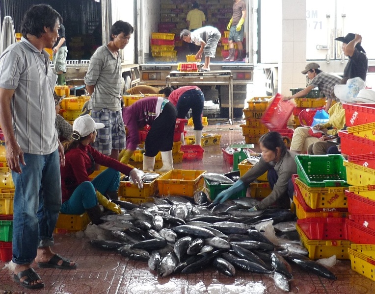 Cảng cá Quy Nhơn tấp nập trước giờ bão đổ bộ vào