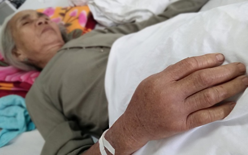 Rắn lục đuôi đỏ xuất hiện nhiều cắn người dân phải nhập viện