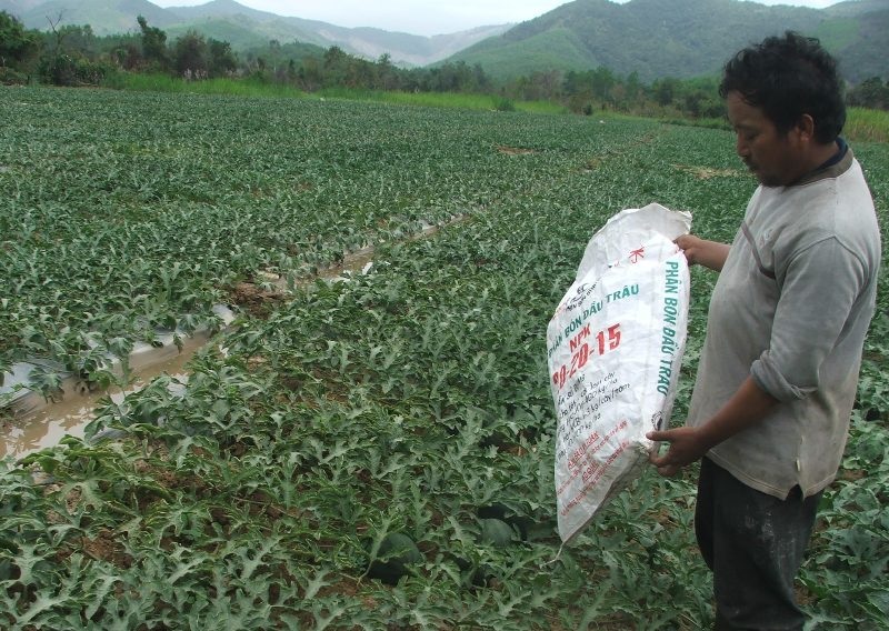 Dân ngồi trên lửa với phân bón, thuốc trừ sâu giả tràn lan