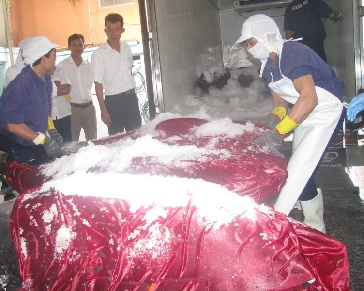 Cá được bọc một lớp vải để chống trầy xước da cá khi di chuyển