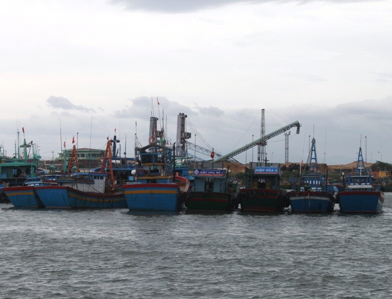 Các tàu thuyền ngư dân tỉnh Bình Định vào nơi tránh trú siêu bão