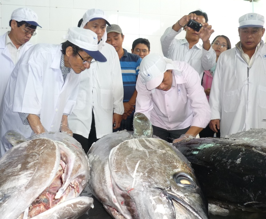 Chuyên gia thủy sản Nhật Bản và c