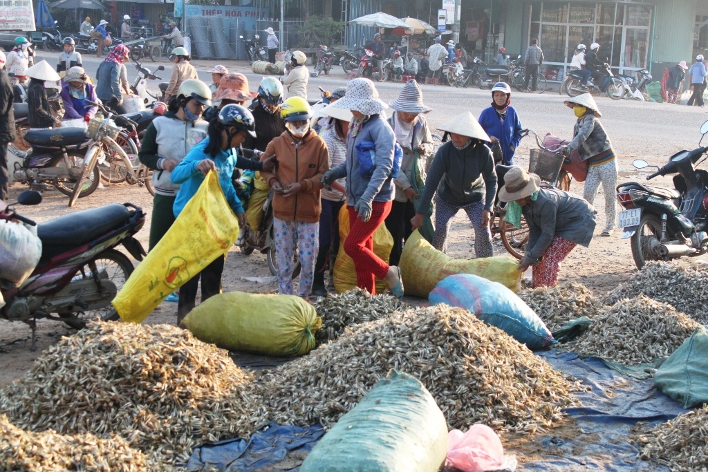 Kiệu được tập kết gần chợ Phù Mỹ 