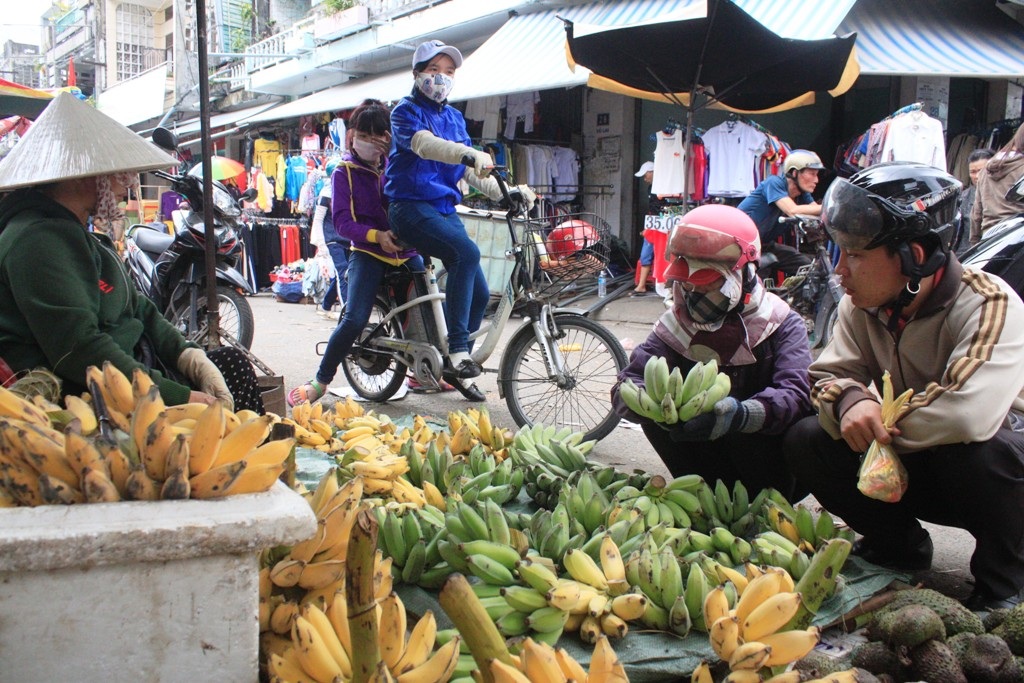 Chuối khan hiếm dù không đẹp bán giá vẫn cao