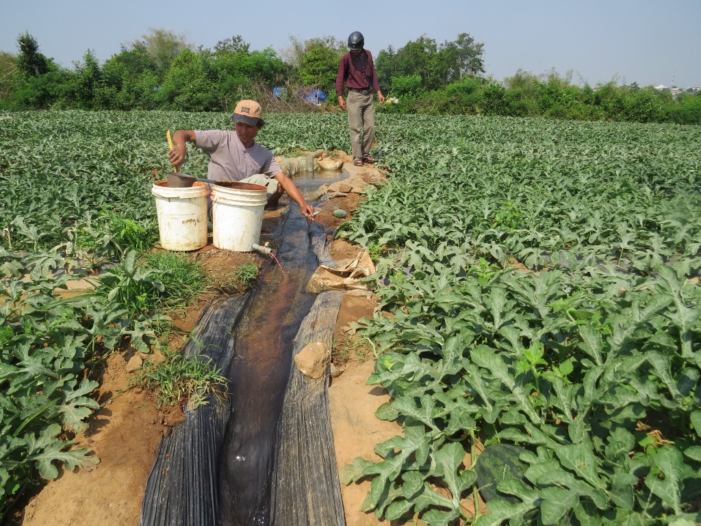 Nay người thuê đất trồng dưa ở huyện Sông Hinh (Phú Yên) lại thêm những chi phí vô lý