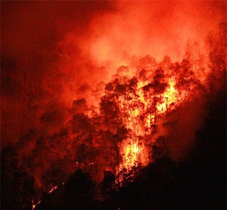 Đốt vàng mã, gây cháy rừng