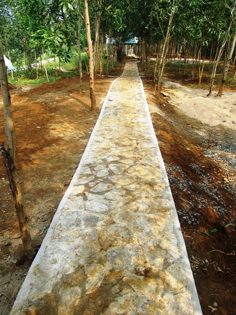 Đường đi xung quanh Di tích địa đạo Gò Thì Thùng