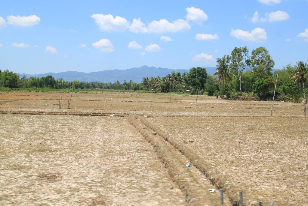 Hàng trăm ha mất trắng và bỏ hoang
