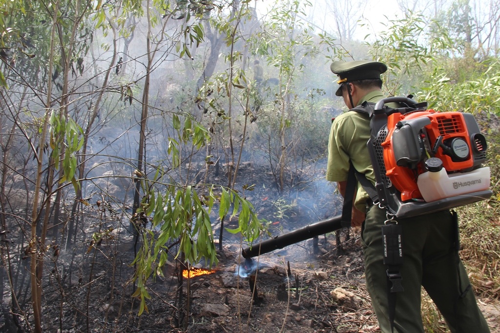Hiện trường đám cháy trên núi Bà Hỏa (TP Quy Nhơn)