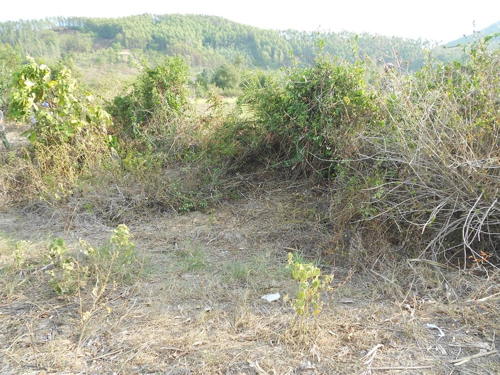 Hiện trường phát hiện thi thể nam giới chết cách đây khoảng 10 ngày