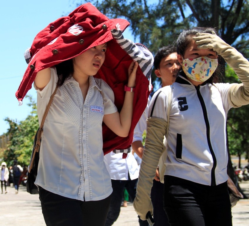 Bơ phò vì nắng nóng