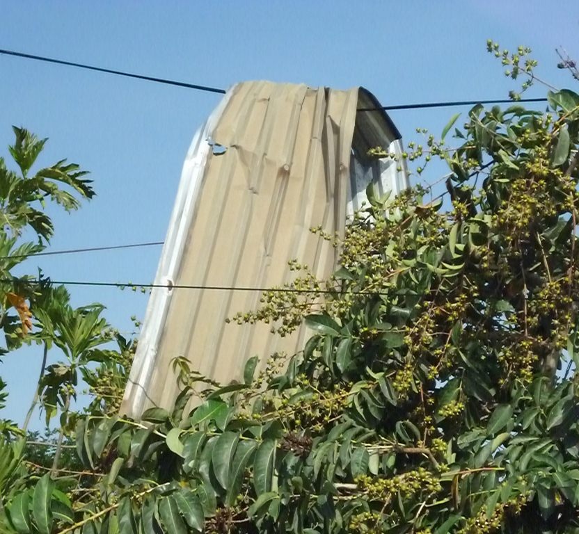 Một tấm tôn bị gió lốc thổi bay cả vài chục mét