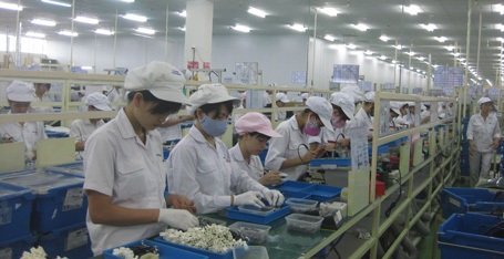 Trên 50 % lao động làm thêm với cường độ cao - 1 Normal