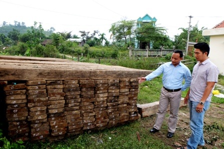 Số gỗ được đưa về Trạm kiểm lâm Dốc Kiền (huyện Đông Giang, Quảng Nam) để bảo vệ