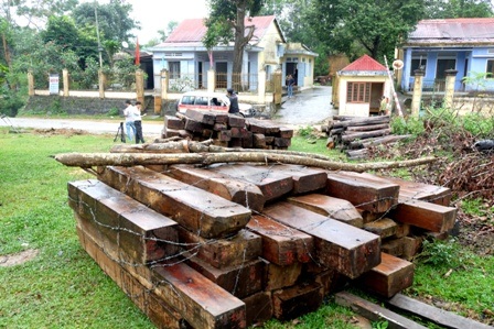 Số gỗ được phát hiện đưa về trạm kiểm lâm Dốc Kiền nhưng 2 phách gỗ đã bị mất
