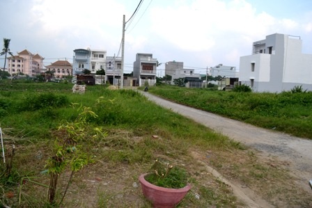 Rắn lục đuôi đỏ "tràn qua" Quảng Nam, Đà Nẵng - 2 Lưới thép đan nhỏ được nhà chị V. mua về rào cổng để đề phòng rắn lục đuôi đỏ bò vào nhà