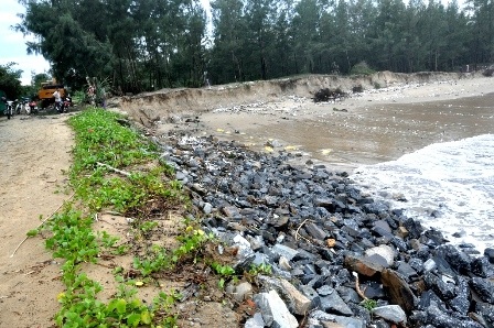 Đầu tư hơn 120 tỉ đồng nâng cấp tuyến đê biển - 1 Đầu tư hơn 120 tỉ đồng nâng cấp tuyến đê biển