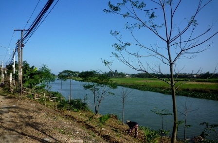 Sông Chợ Cũi, đoạn chảy qua làng Phú Chiêm (xã Điện Phương)