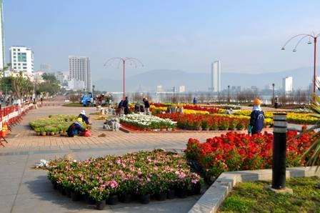 Các công nhân trang trí đường hoa Xuân