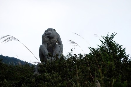 Biểu tượng của loài Voọc trên đường lên đỉnh Sơn Trà