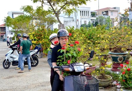 Một chậu hoa hồng như thế này có giá trung bình 50 nghìn đồng