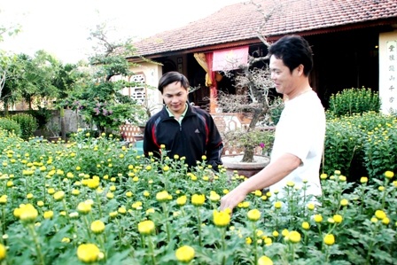 Người dân Lý Sơn đi mua hoa Tết về chưng