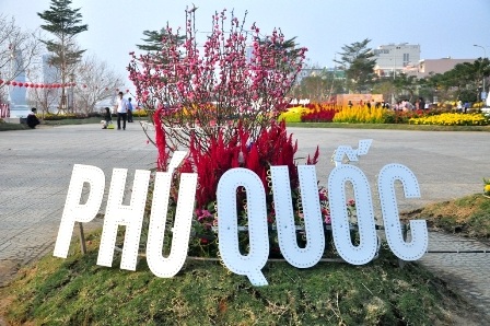 Chiêm ngưỡng “Bản đồ Việt Nam bằng hoa lớn nhất” - 11 Đào Nhật Tân khoe sắc giữa Đà Thành