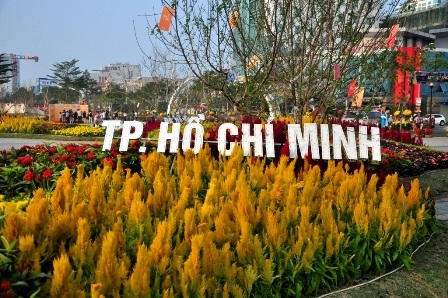 Chiêm ngưỡng “Bản đồ Việt Nam bằng hoa lớn nhất” - 10 Đào Nhật Tân khoe sắc giữa Đà Thành