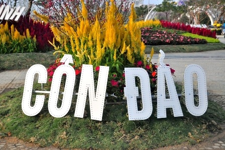 Chiêm ngưỡng “Bản đồ Việt Nam bằng hoa lớn nhất” - 9 Đào Nhật Tân khoe sắc giữa Đà Thành