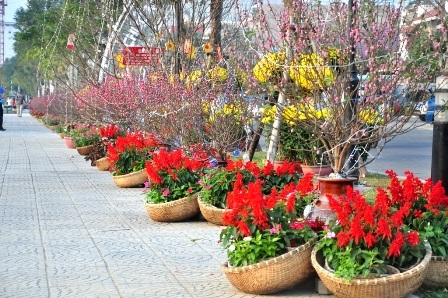 Chiêm ngưỡng “Bản đồ Việt Nam bằng hoa lớn nhất” - 12 Đào Nhật Tân khoe sắc giữa Đà Thành