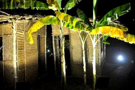 Một góc quê ở vườn hoa